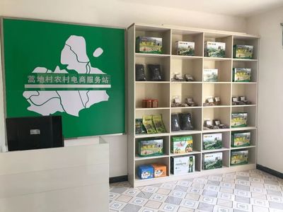 圖說(shuō)由陜?nèi)氪ā暗谝绘?zhèn)”——轉(zhuǎn)斗鎮(zhèn)電子商務(wù)服務(wù)發(fā)展紀(jì)實(shí)