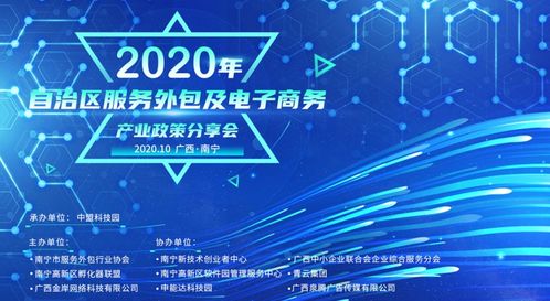 2020年自治區服務外包及電子商務產業政策分享會圓滿召開 聚焦電子商務服務新機遇